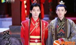 双世宠妃怎么在线观看,双世宠妃在线观看攻略